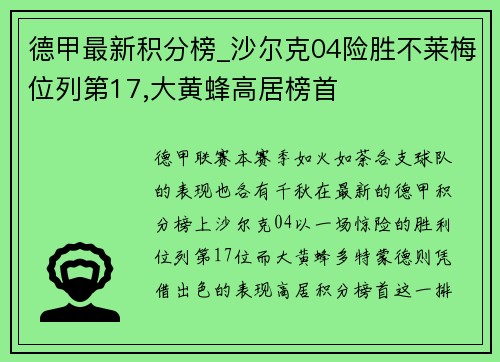 德甲最新积分榜_沙尔克04险胜不莱梅位列第17,大黄蜂高居榜首